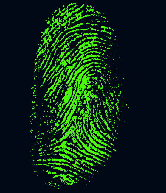 4b0ced289ea7667dc8df3839e94704f6_1607351727_5048.png
